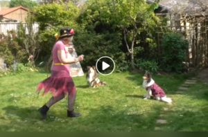 Holly Copse Molly 2020 Lone Morris